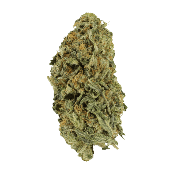 Chocolate Kush – 1 ounce | Herbarium Canada