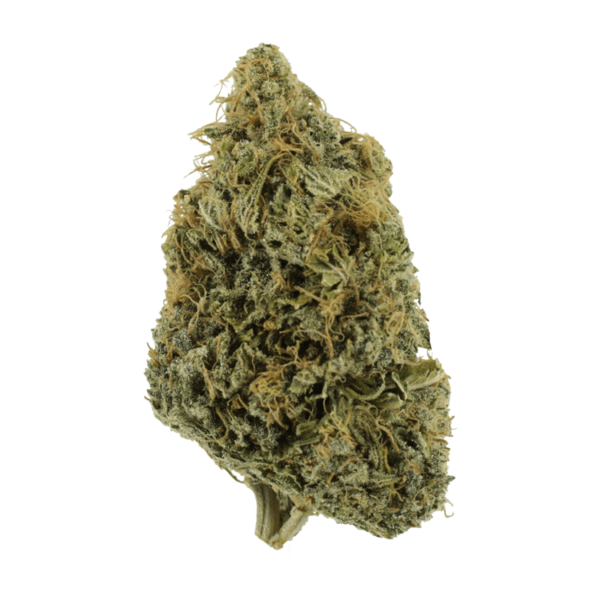 NYC Diesel | Herbarium Canada