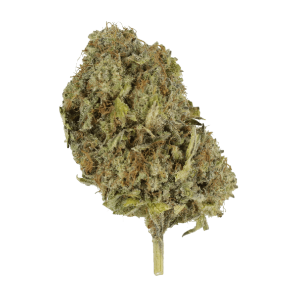 God’s Green Crack | Herbarium Canada