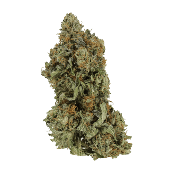 Bruce Banner #3 | Herbarium Canada