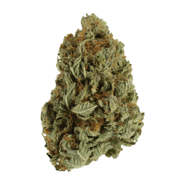 Ice Wreck – 1 ounce | Herbarium Canada