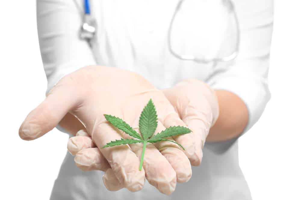 Cannabis as a natural cure for pain | Herbarium Canada