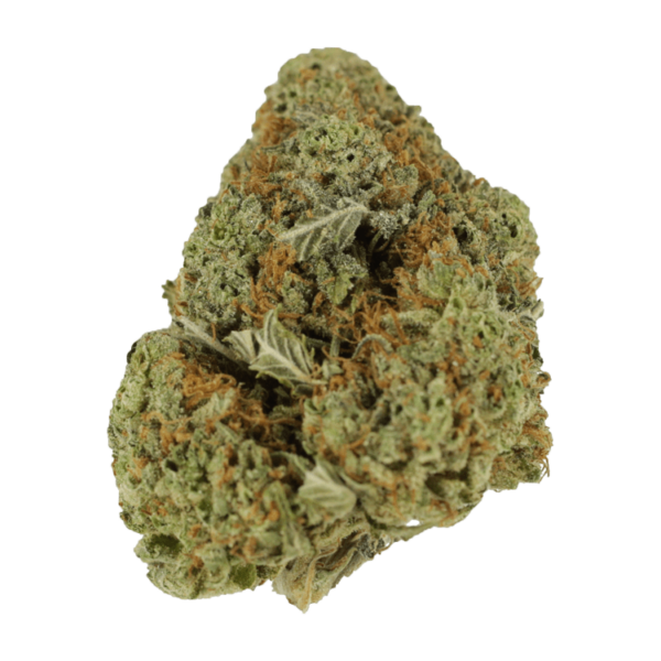 Mataro Blue – 1 ounce | Herbarium Canada