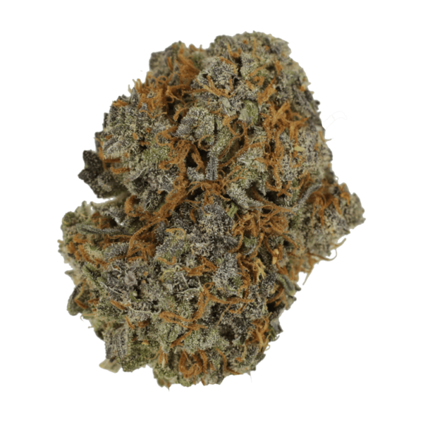 Jack Herer 1 Ounce | Herbarium Canada