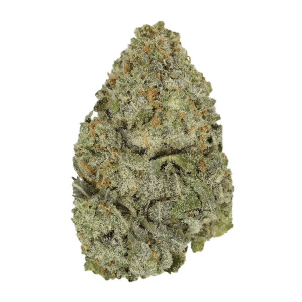 Lemon Meringu- | Herbarium Canada