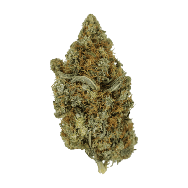 Jack Herer 1 Ounce | Herbarium Canada