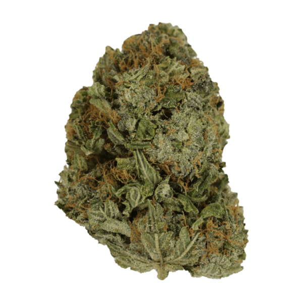 Blue Fire – 1 ounce | Herbarium Canada