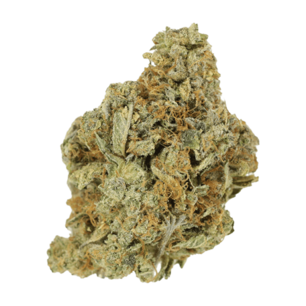 Jet Fuel | Herbarium Canada