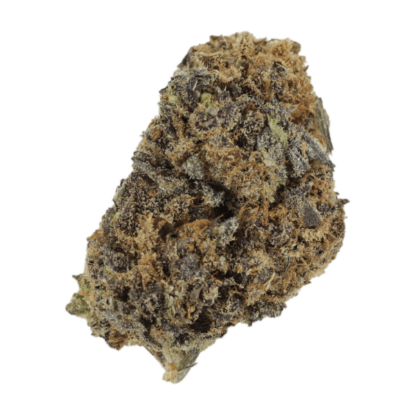 Jet Fuel | Herbarium Canada