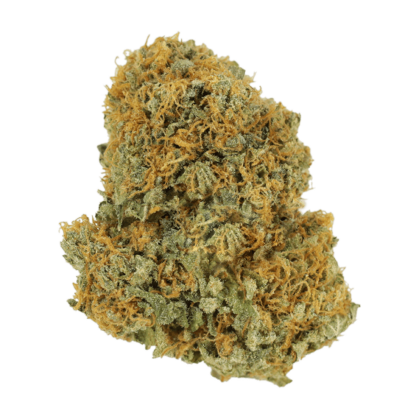 Jet Fuel | Herbarium Canada