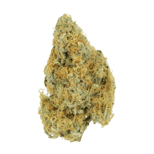 Alien OG (Popcorn) – 2OZ/$69 | Herbarium Canada