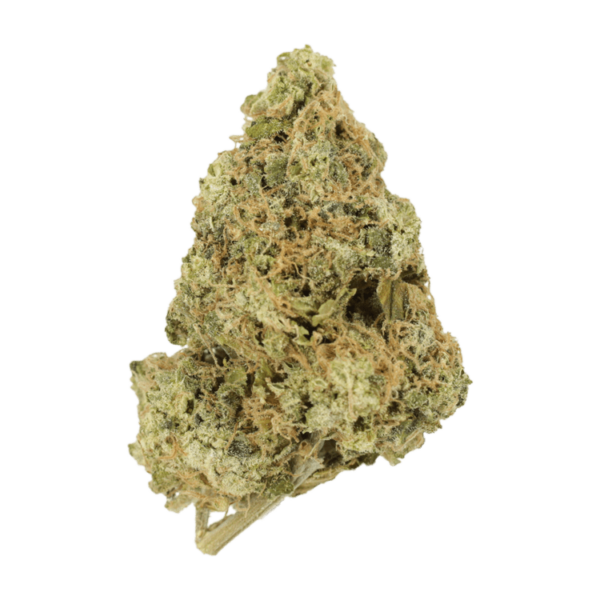 Zombie OG | Herbarium Canada