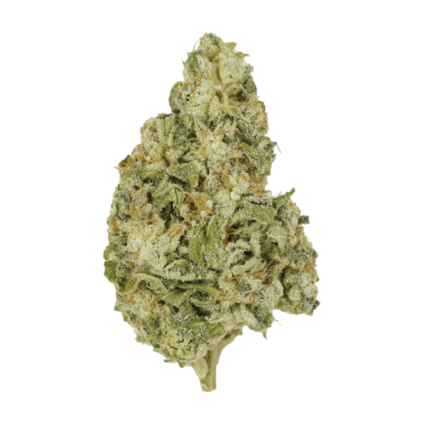 Zombie OG | Herbarium Canada