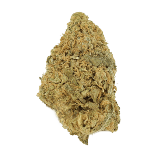 Zombie OG | Herbarium Canada