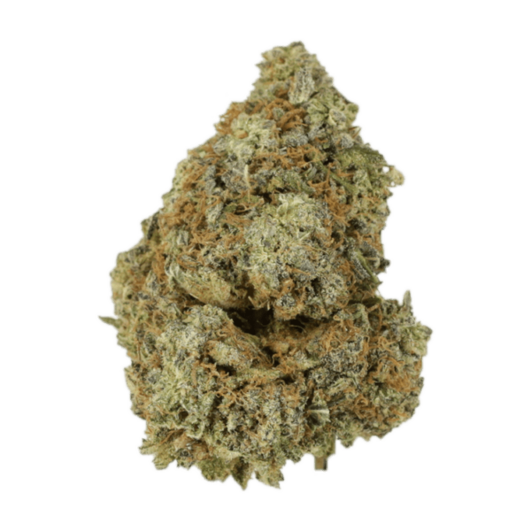 Granddaddy Purple | Herbarium Canada