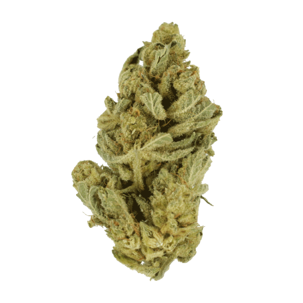 Hindu Kush – 7g | Herbarium Canada