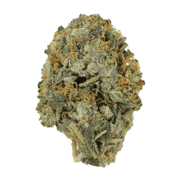Cotton Candy | Herbarium Canada