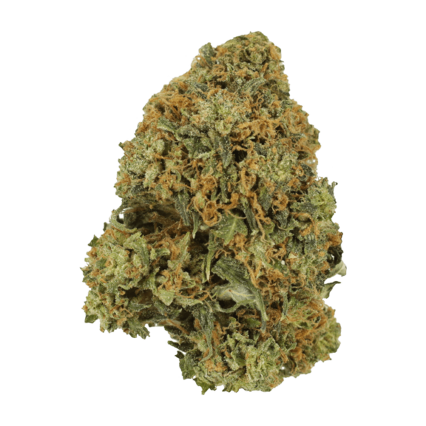 Durban Poison | Herbarium Canada