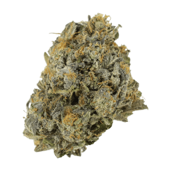 Cotton Candy | Herbarium Canada