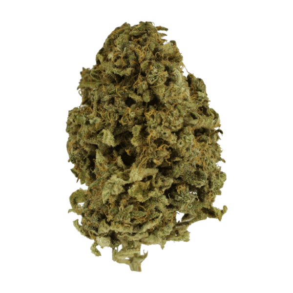Nebula | Herbarium Canada