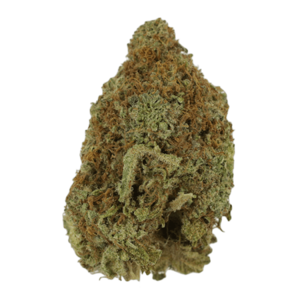 Mango Haze | Herbarium Canada