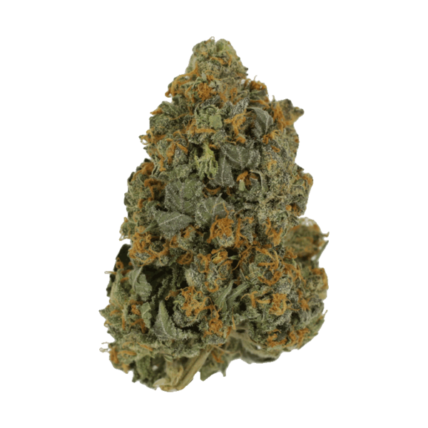 Skunkberry – 1 ounce | Herbarium Canada