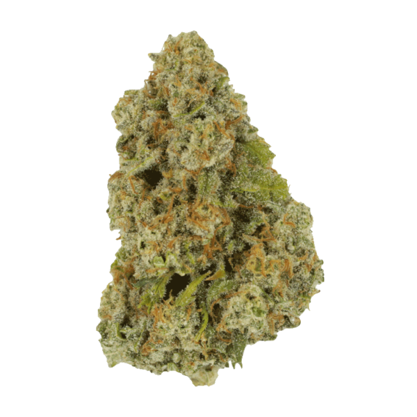 Colorado Diesel | Herbarium Canada