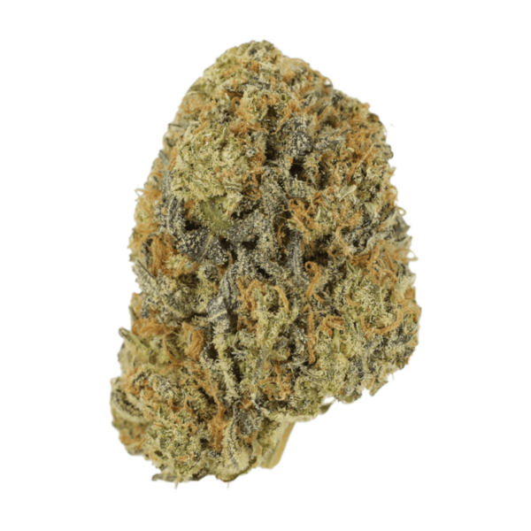 Maui Wowie | Herbarium Canada