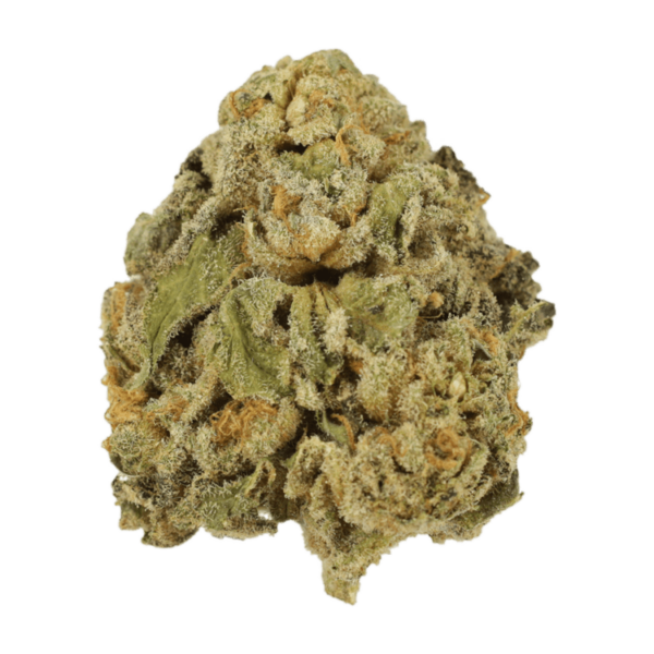 Maui Wowie | Herbarium Canada