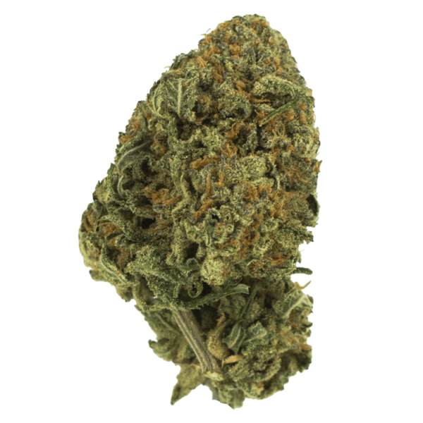 Black Nuken | Herbarium Canada