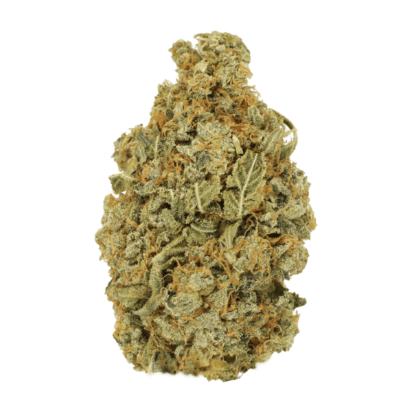 Maui Wowie | Herbarium Canada
