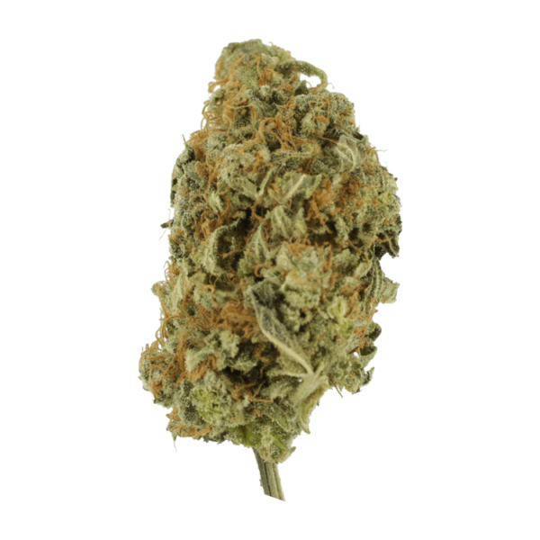 Lollypop – 1 ounce | Herbarium Canada