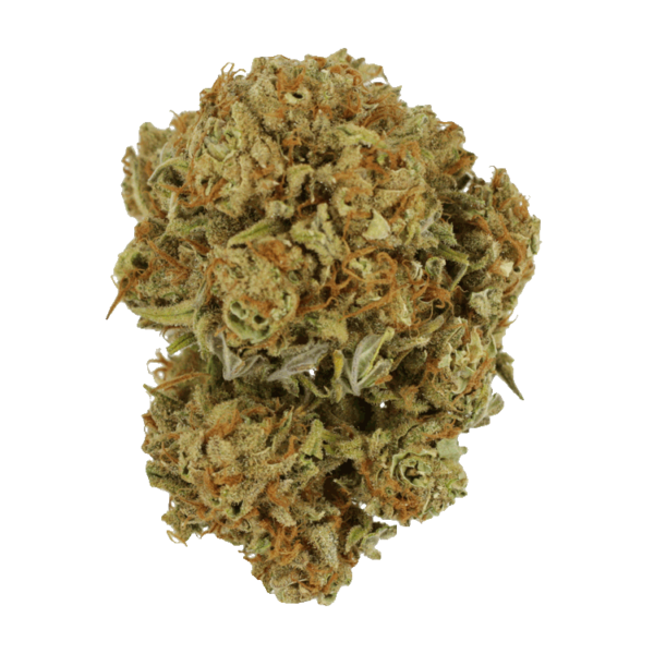 Maui Wowie | Herbarium Canada