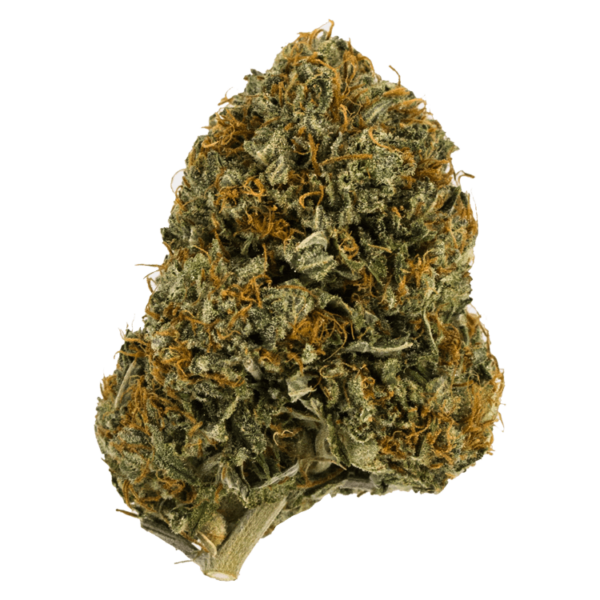 Wifi OG – 1 ounce | Herbarium Canada