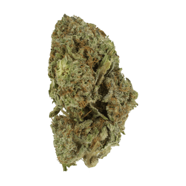 Gelato Sorbet – 1 ounce | Herbarium Canada