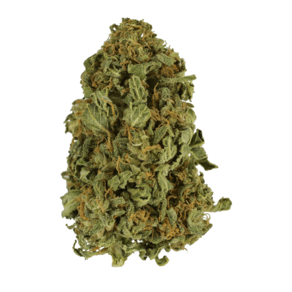 Apricot Kush – $35/oz | Herbarium Canada