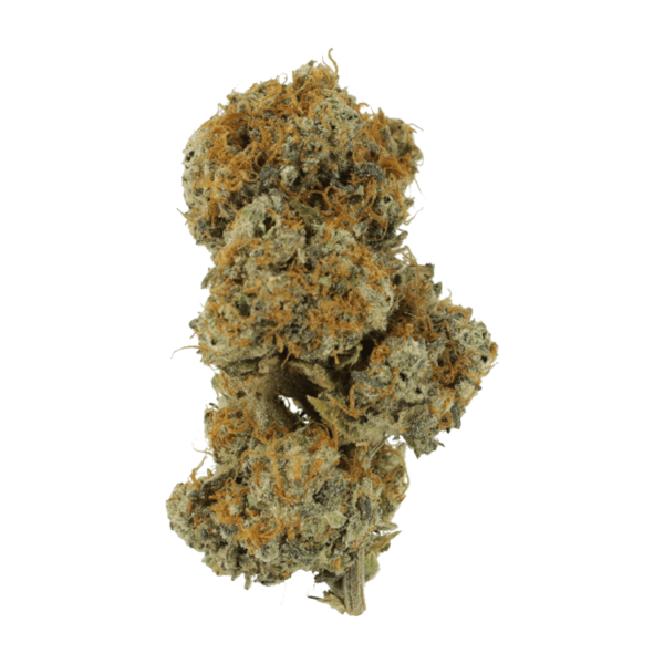 Stripper Spit | Herbarium Canada