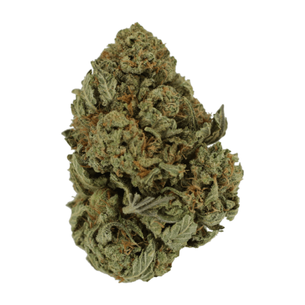 Master Kush Ultra | Herbarium Canada
