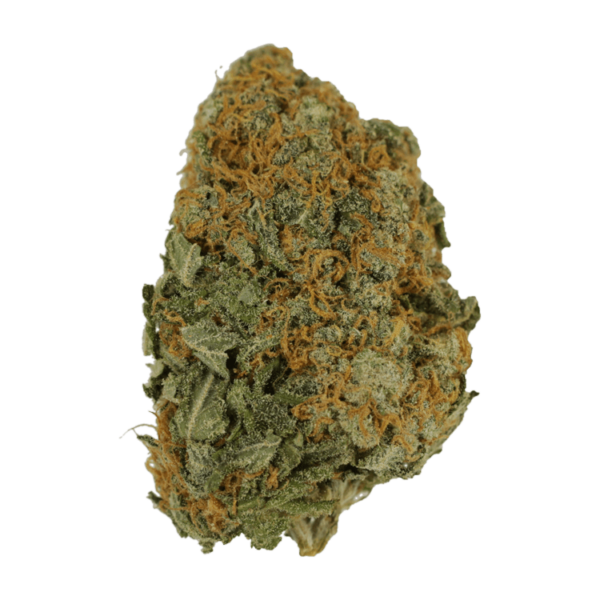 Master Kush Ultra | Herbarium Canada