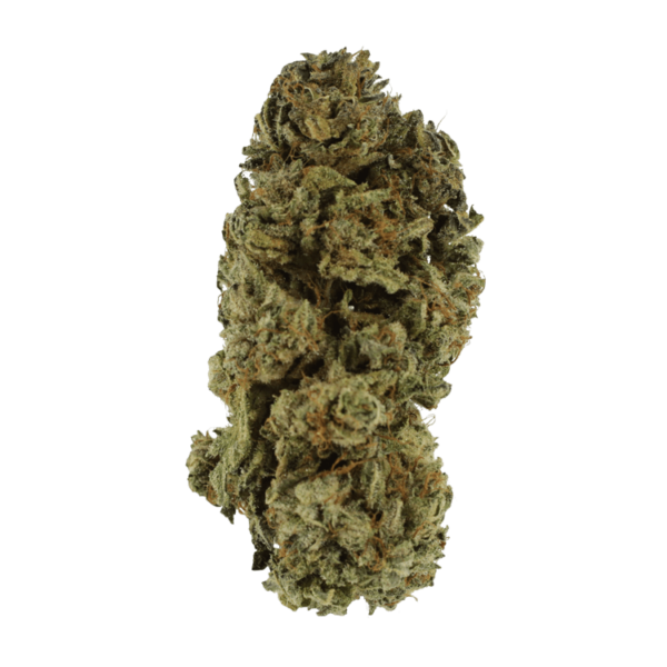 Black Kush – 1 ounce | Herbarium Canada