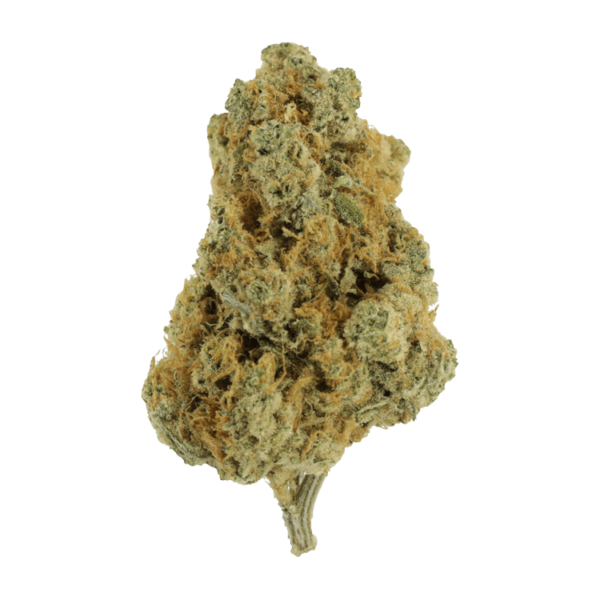 White Cookies – 1 ounce | Herbarium Canada