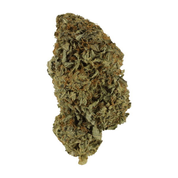 Sirius Black – 1 ounce | Herbarium Canada