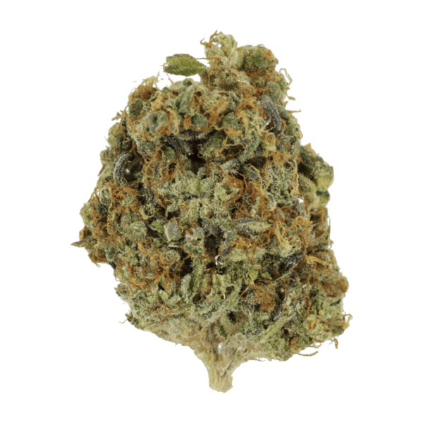 Sunset Sherbert | Herbarium Canada