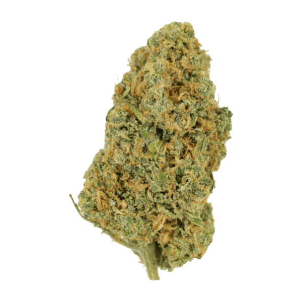 Lemon Bomb | Herbarium Canada