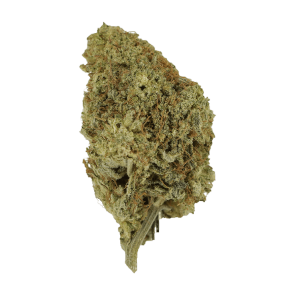 Pineapple Kush | Herbarium Canada
