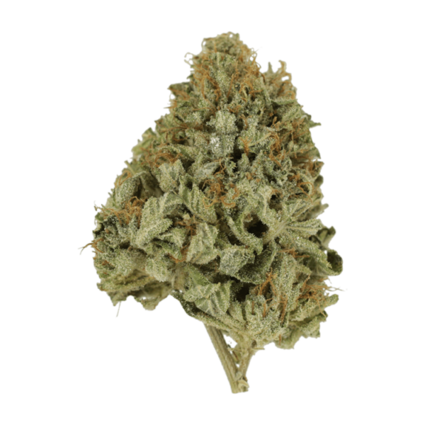 Pineapple Kush | Herbarium Canada