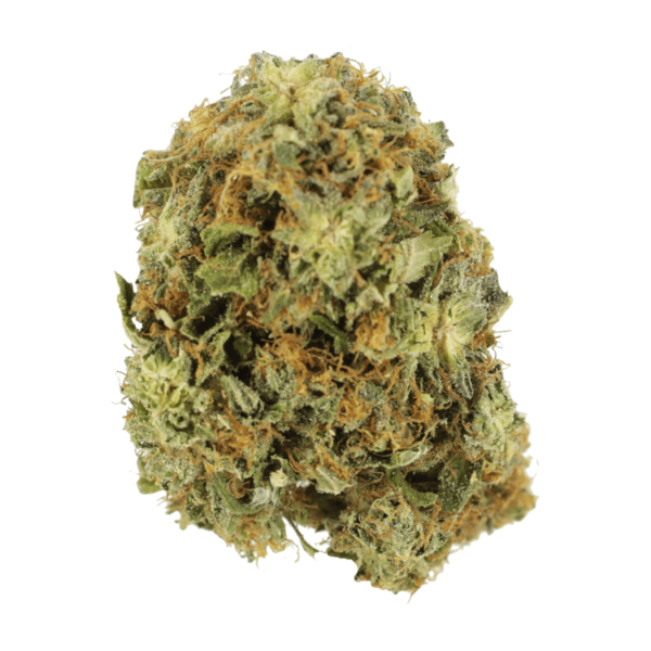 Colorado Bubba | Herbarium Canada
