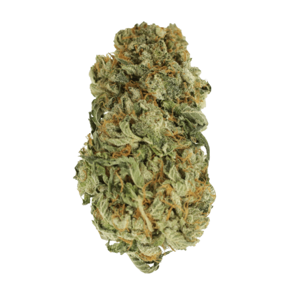 King Louis – 1 ounce | Herbarium Canada