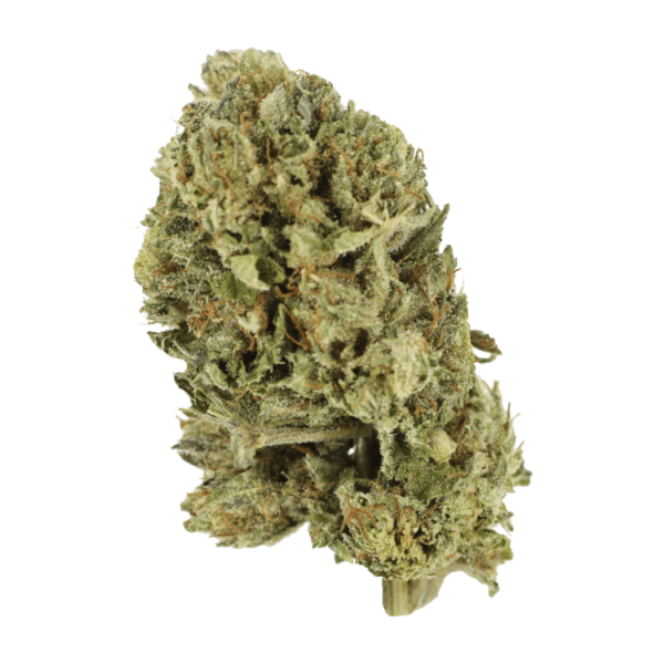 Purple OG Kush – 1 ounce | Herbarium Canada