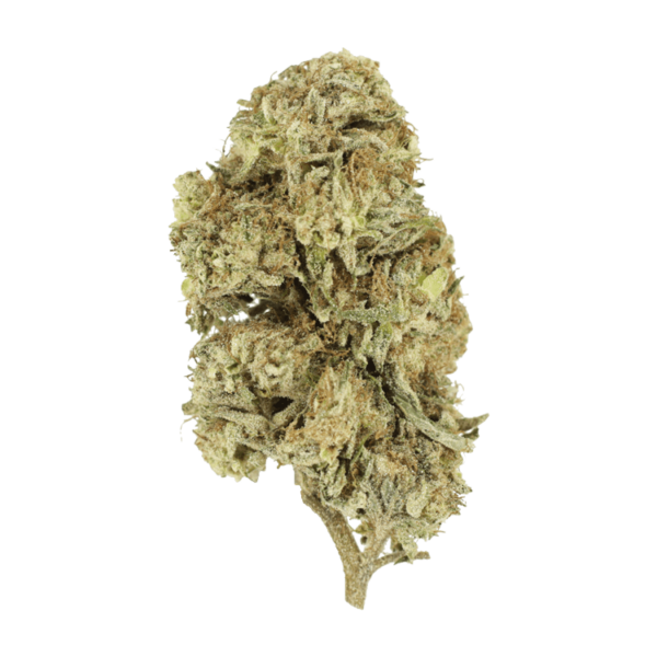 Cherry Wine (CBD) | Herbarium Canada